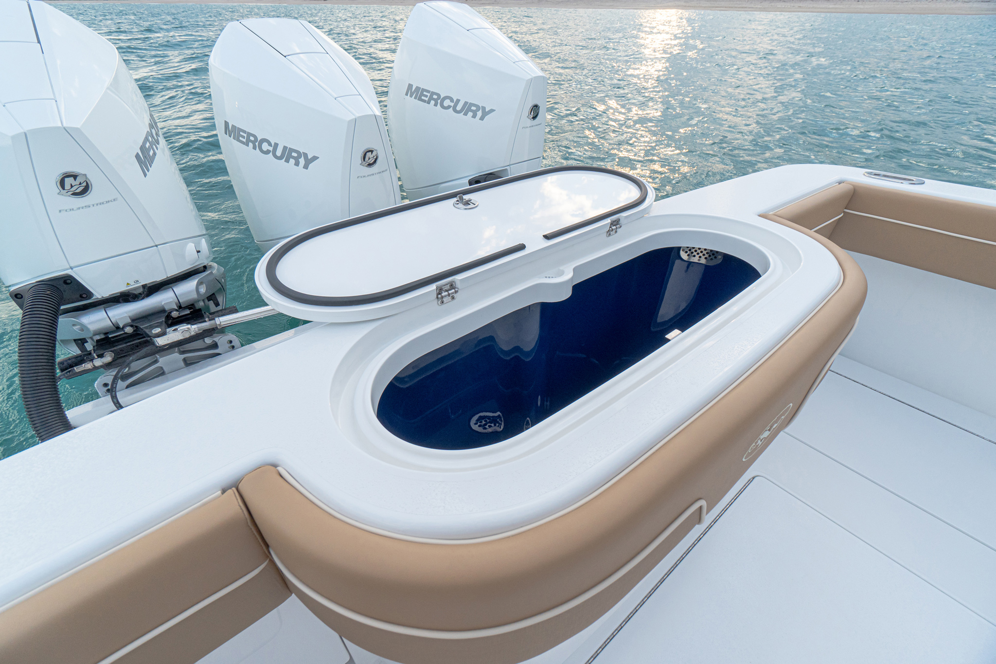 Transom live well (56 gals.) with friction stainless hinges, available Aristo blue interior.